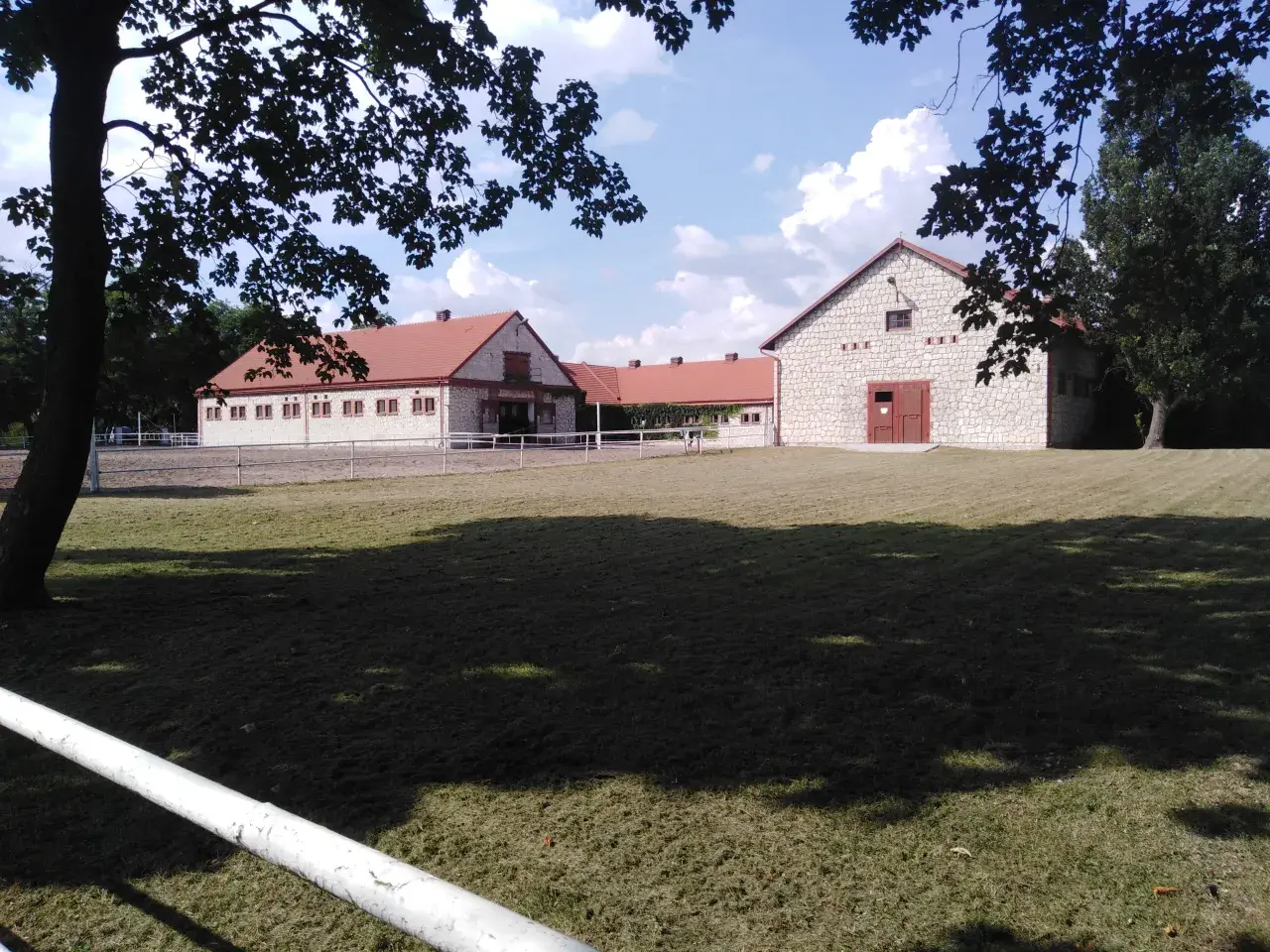 Arabialaiset hevoset Puolassa