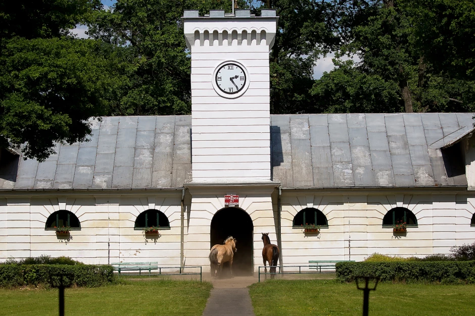 Arabianhevostallit Puolassa