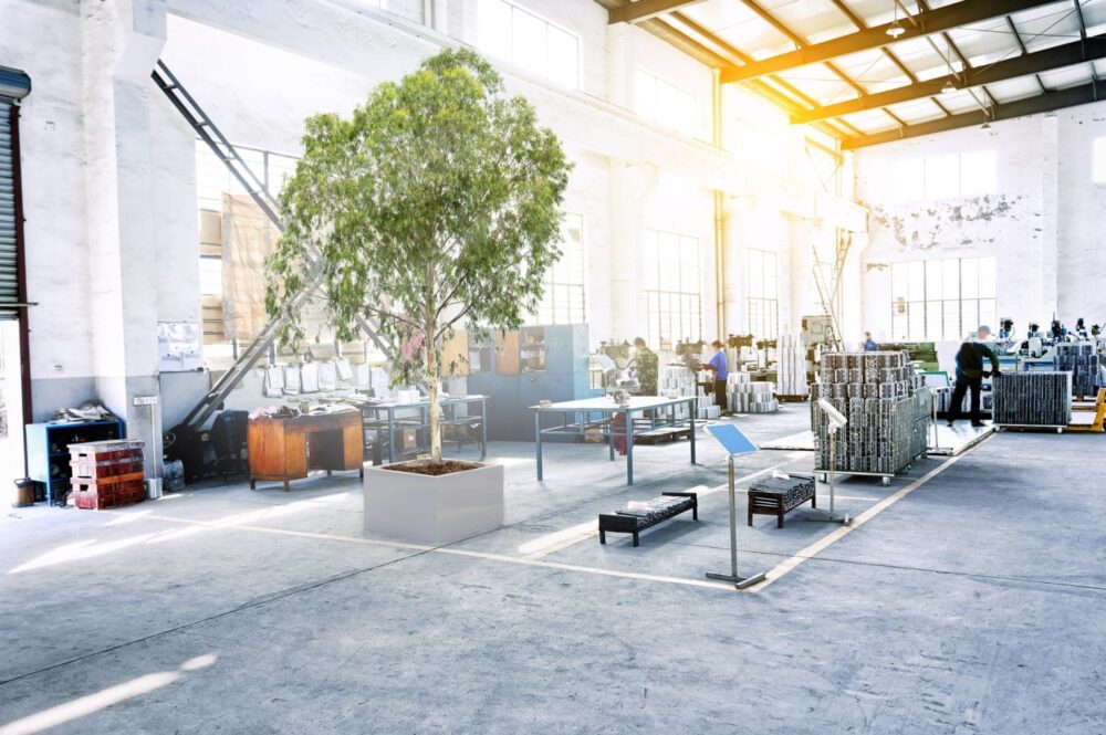 Kuinka stabiloida kasveja