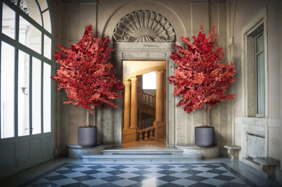 Mitä kasvien stabilointi tarkoittaa