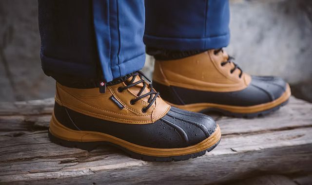 Vertigo Alpes – mikä yritys tämä on?