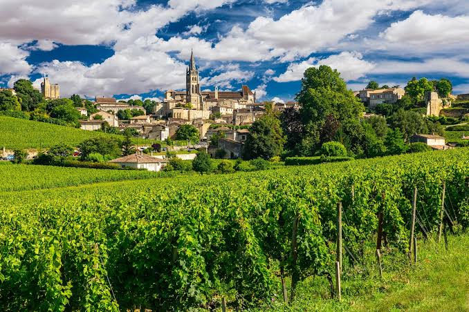 Bordeaux Region Winiarski