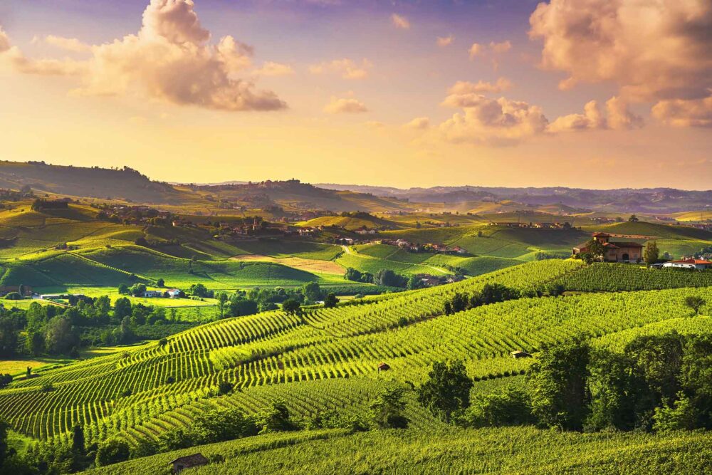 Langhen viinitarhojen auringonlaskupanoraama, Barolo, Piemonte, Italia, Eurooppa