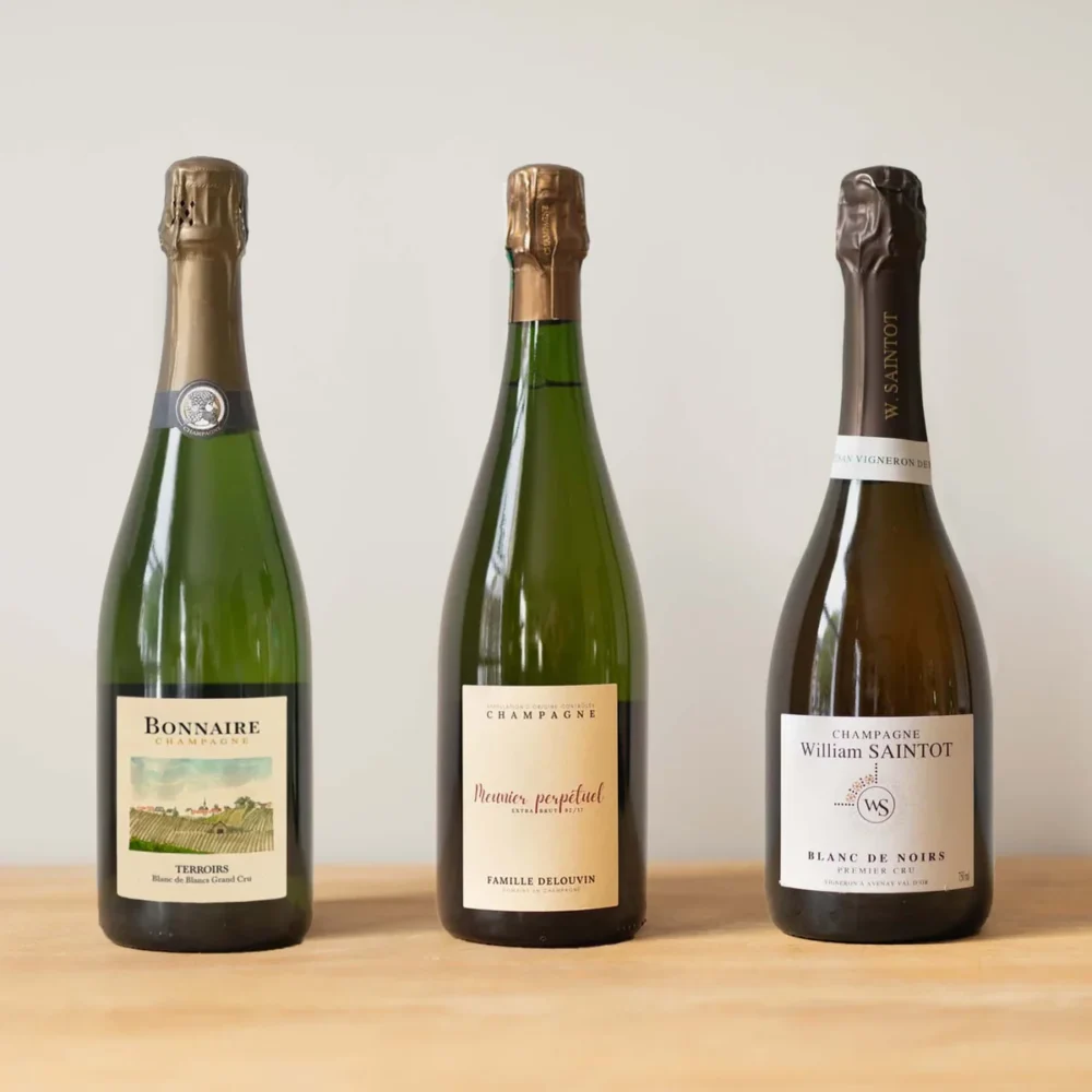 Blanc De Blancs vs Blanc De Noirs Erot