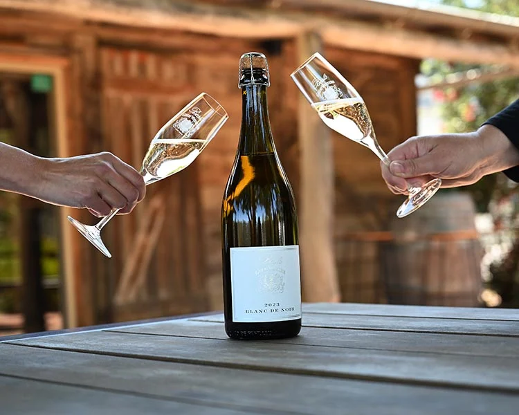 Blanc De Blancs Vs Blanc De Noirs Hinta